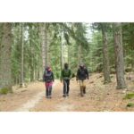 کاپشن فورکلاز Forclaz Trek 500