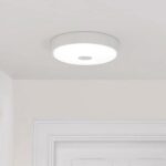 چراغ سقفی شیائومی